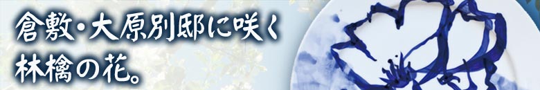 倉敷・大原別邸に咲く林檎の花。